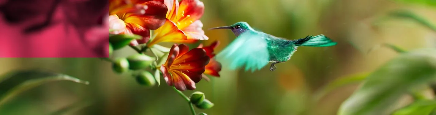 CGI hummingbird flying among flowers in a natural environment